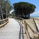 Flora * Bibione
